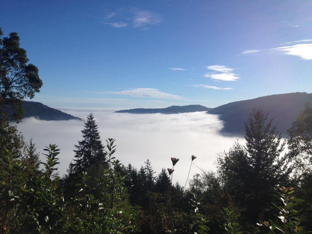 Moon Water Lodge Malahat Δωμάτιο φωτογραφία